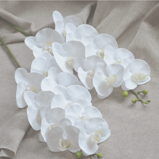 Discover our stunning collection of delicate archaeids, featuring long, slender legs and intricate webs that sparkle in the light, perfect to complement any floral arrangement and add a touch of natural elegance to your home or office Cherry Blossom la