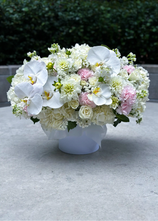NO. 10. Gentle Box with Orchids