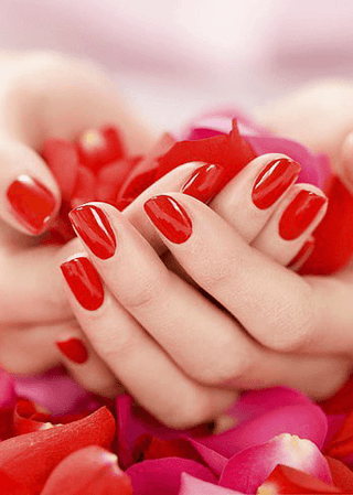 NO. 68. Rose Petals