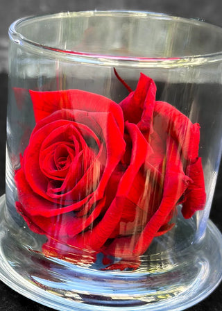 NO. 54. Forever Roses