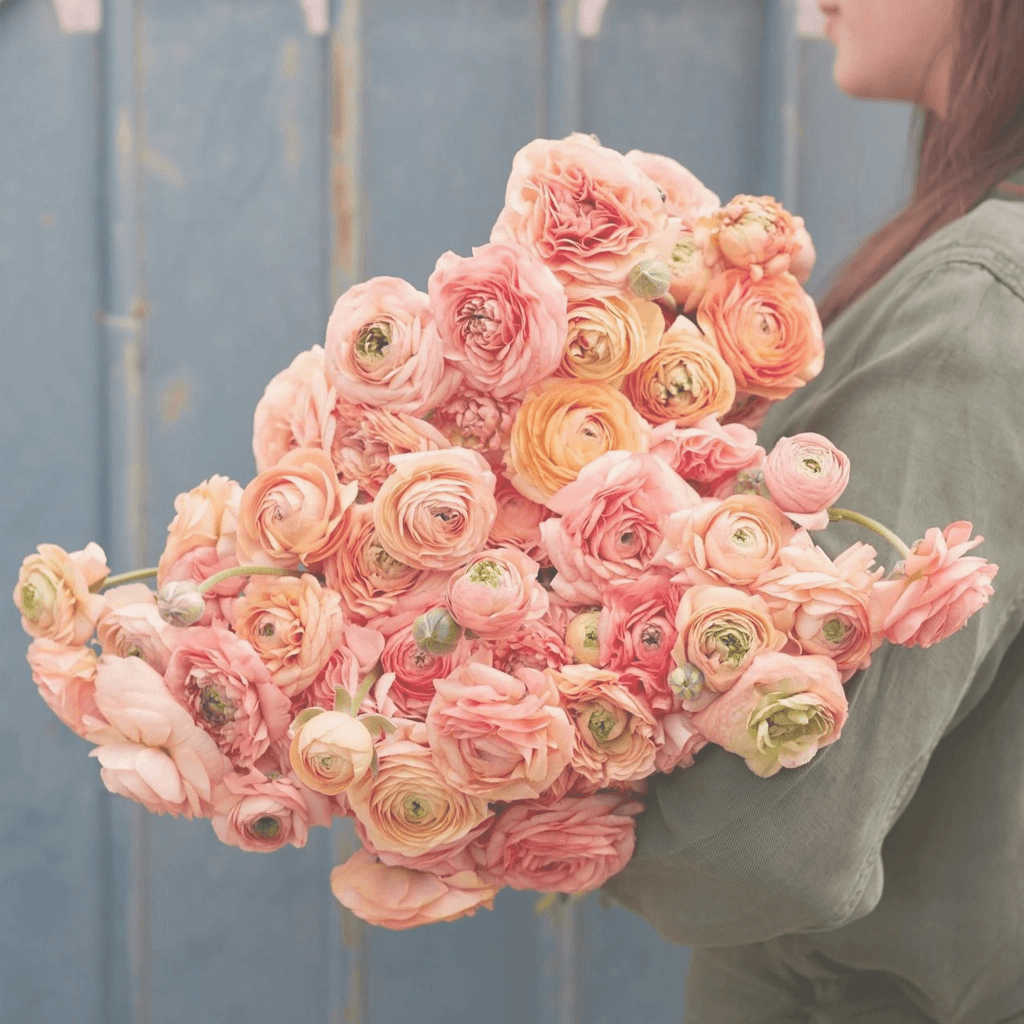 Vibrant ranunculus collection: add a pop of color to your space with these stunning blooms. Order now for a cheerful touch of spring Cherry Blossom flowers shop
