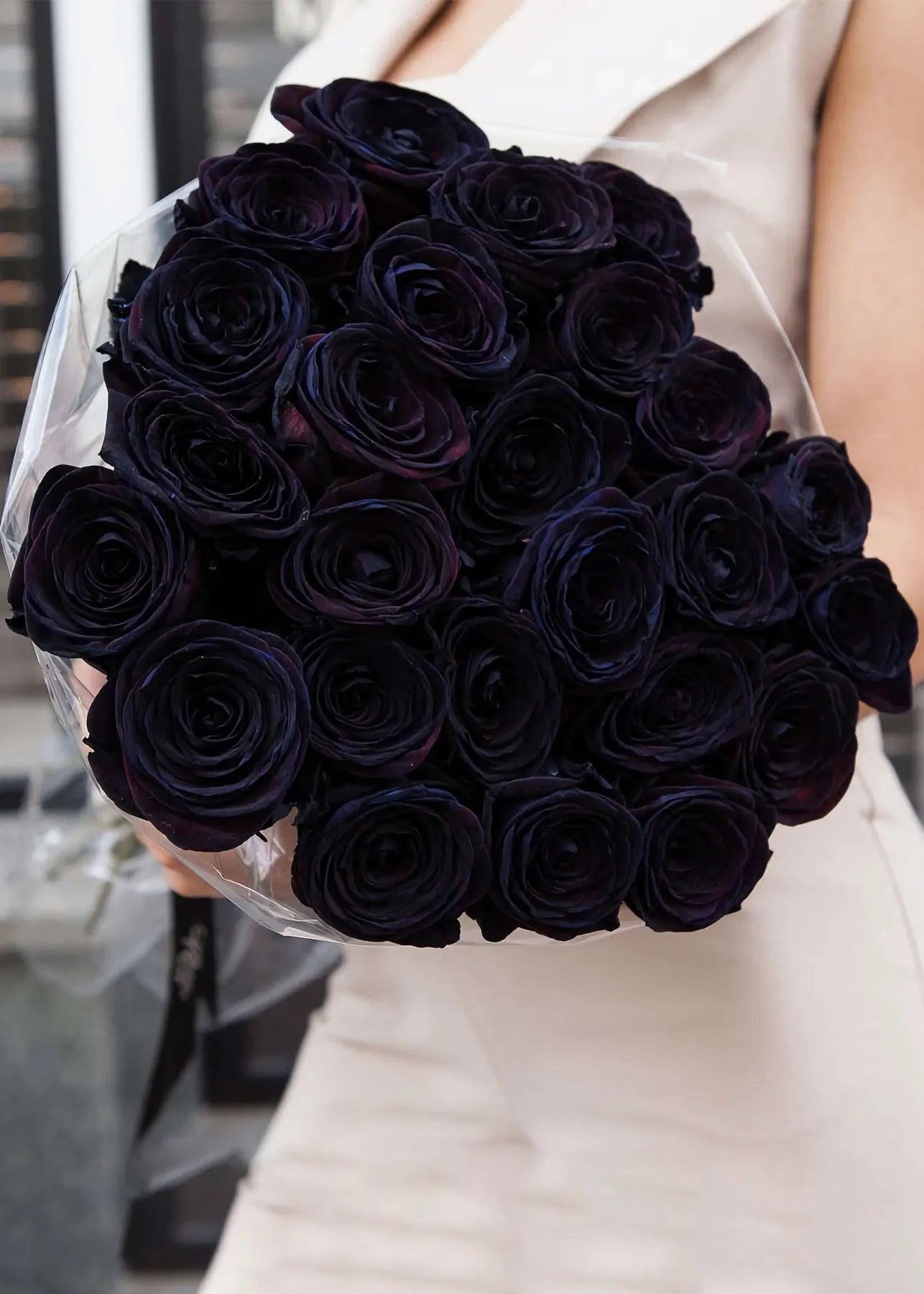 Beautiful discount black rose