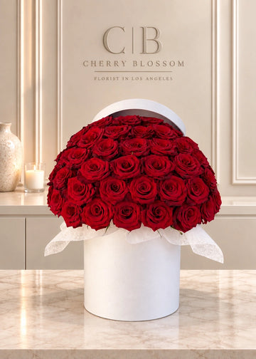 Red roses in a box: a dome of 50 red roses over a round white box with its lid open, front view