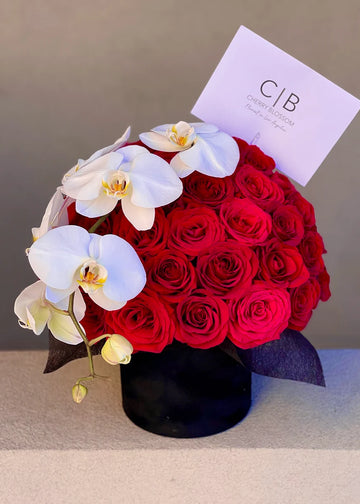 Red roses and orchids box: a dome of red roses in a black round box with white orchids and a card