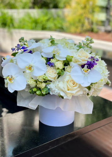 Hydrangea and orchid bouquet in a round white box with white roses and purple accents, on a dark table