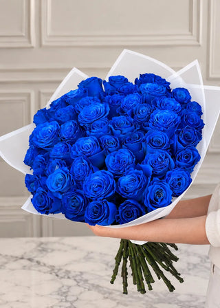 Royal blue roses packed into a round dome inside paper wrap, held on one arm with long bare stems below