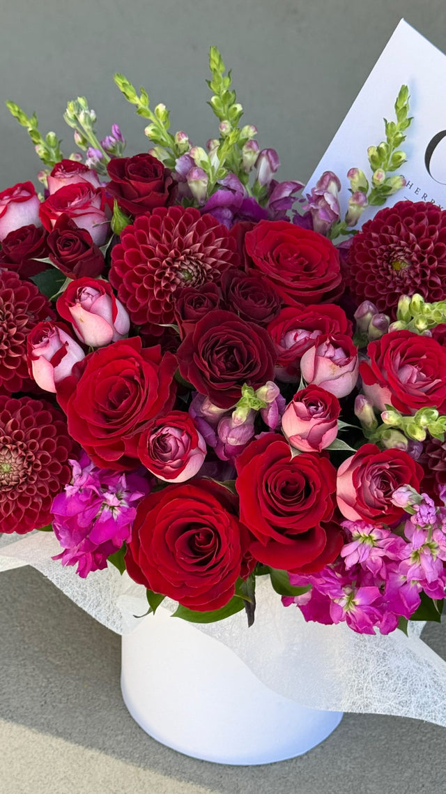 In love with Red❤️🌹