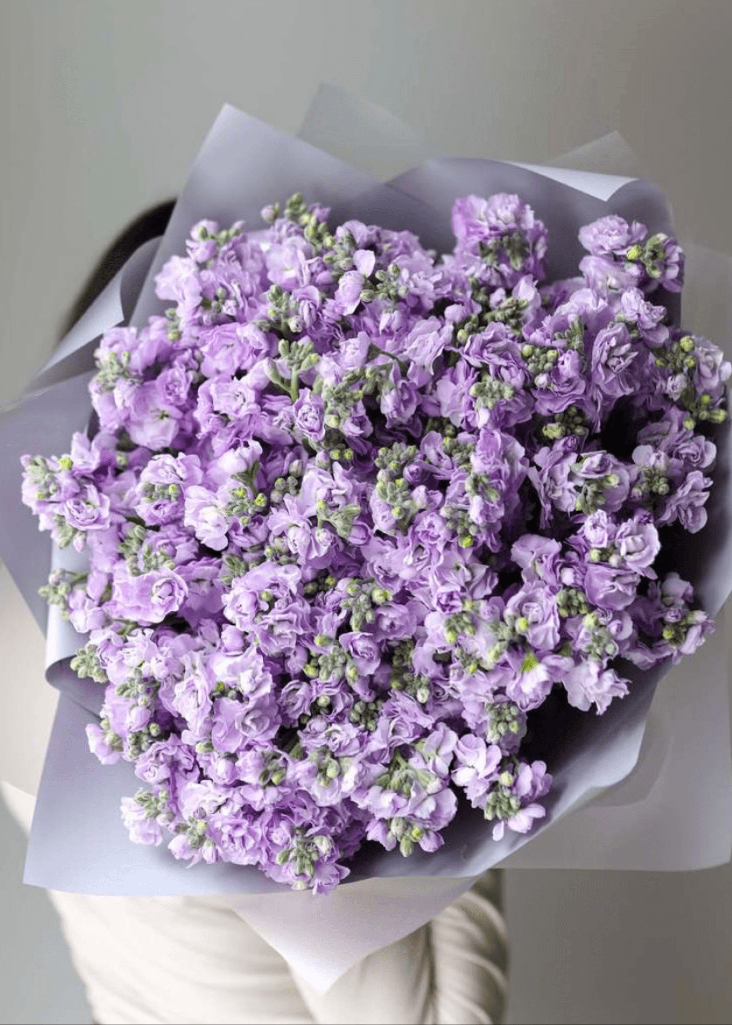 NO. 62. Bouquet of Purple Matthiolas