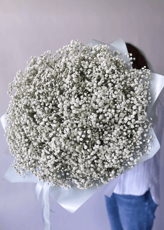 NO. 63. Baby's Breath Bouquet