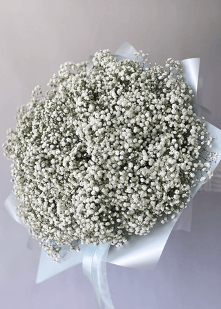 NO. 63. Baby's Breath Bouquet