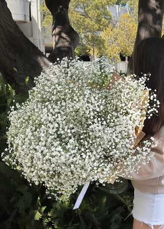 NO. 63. Baby's Breath Bouquet